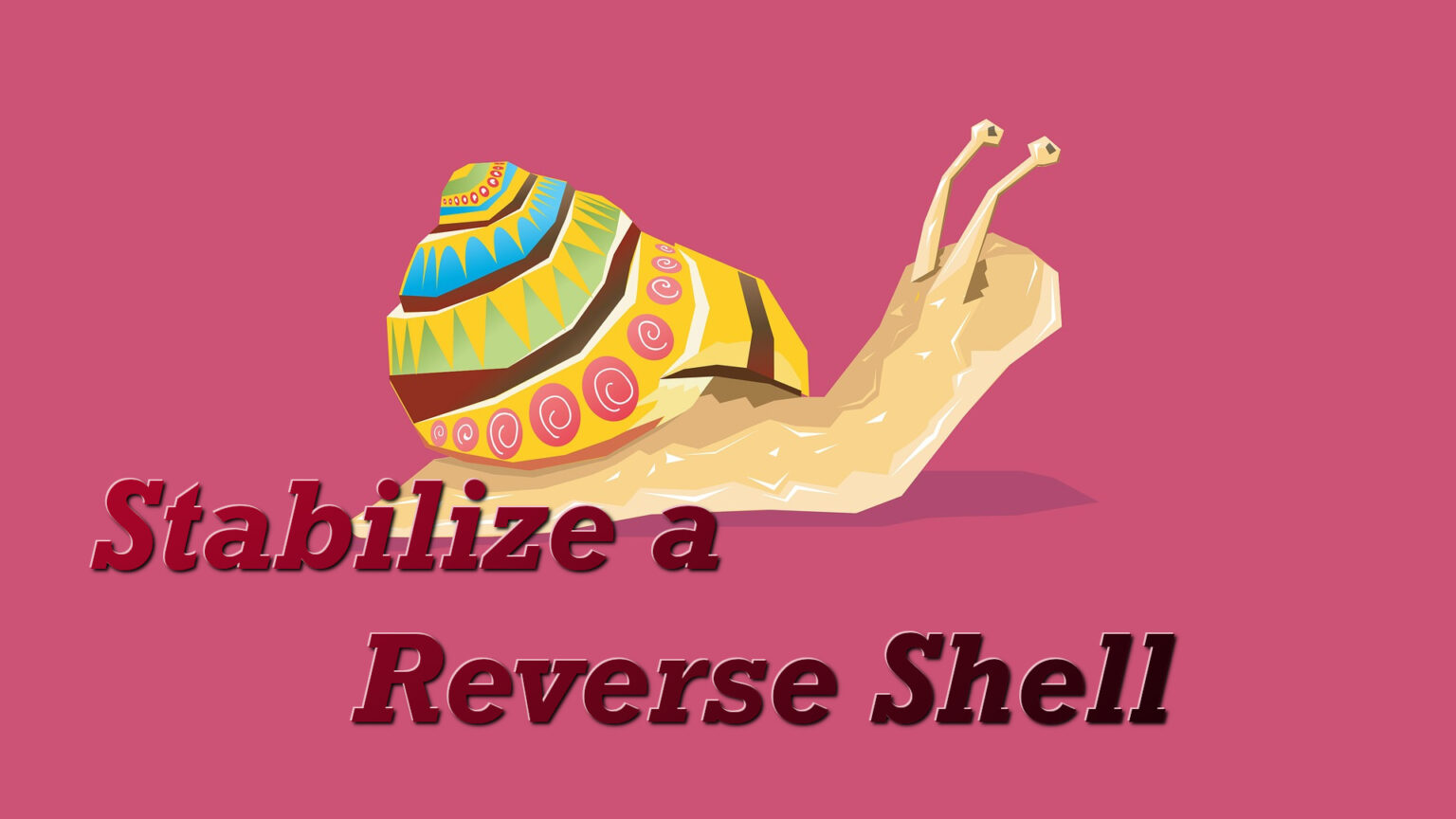 stabilize-a-reverse-shell-tkcyber